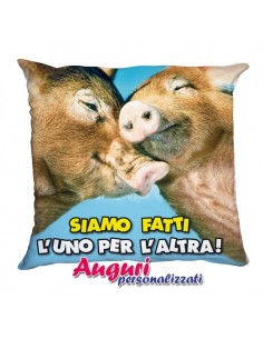 Cuscinoa Amore-Siamo fatti...