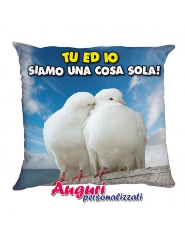 Cuscino Amore-Siamo una cosa sola