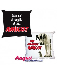 Cuscino per un grande amico
