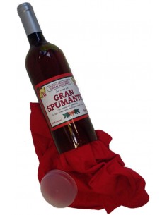 T-shirt in bottiglia di... 2