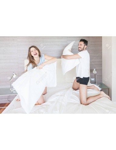 Coppia di guanciali con federe-Re e...