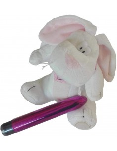 Coniglio-Porta vibratore 2