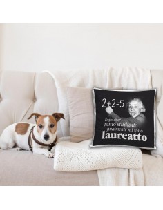Cuscino Einstein-Laureatto 2