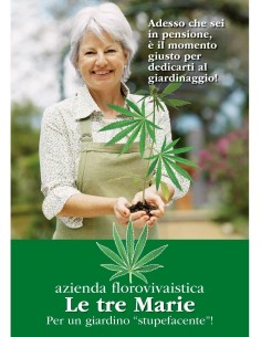 Biglietto Rivista-Pensione Lei 2