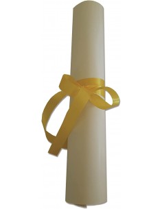 Diploma-Compagno ideale 2