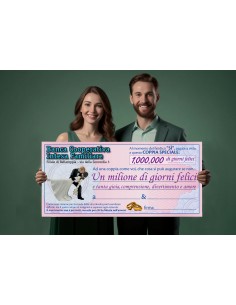 Maxi biglietto Assegno...